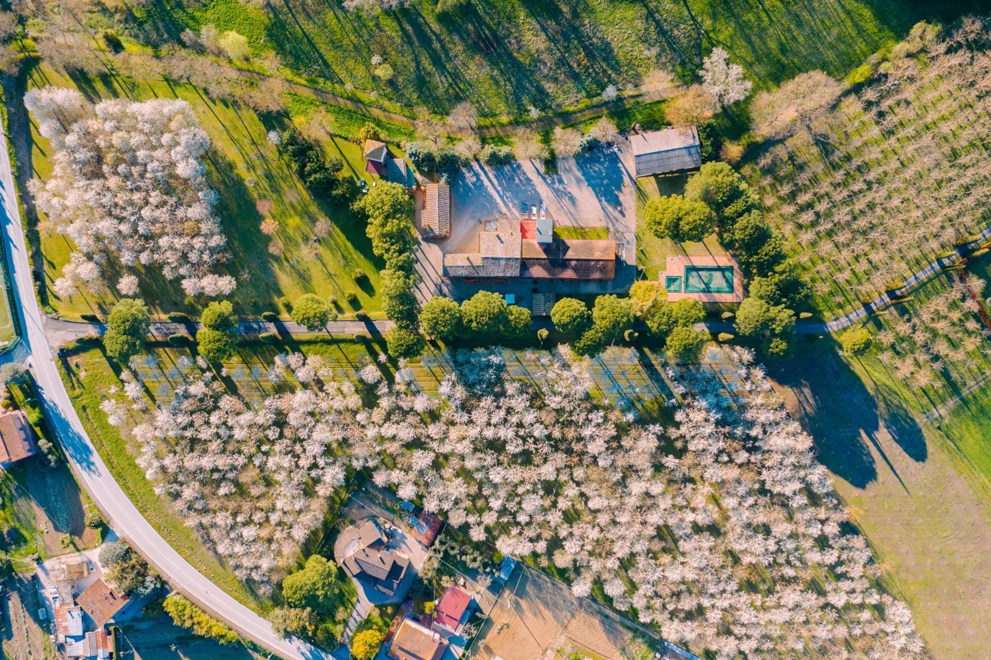 Hotel La Torretta Ασίζη Εξωτερικό φωτογραφία